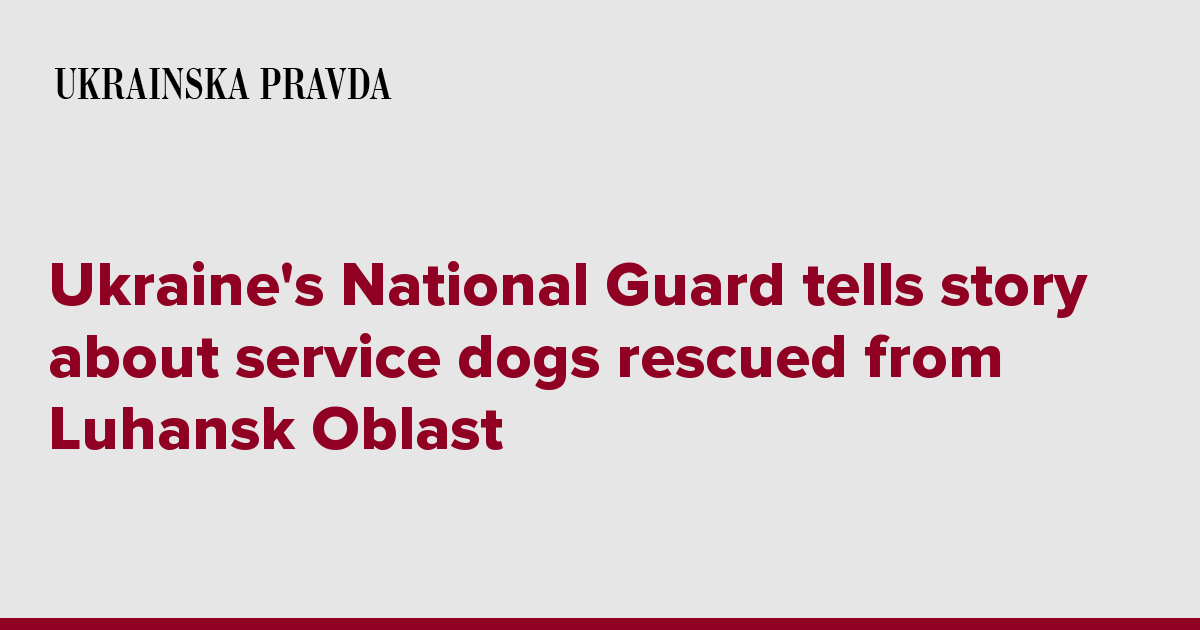 Ukraine’s National Guard tells story about service dogs rescued from Luhansk Oblast