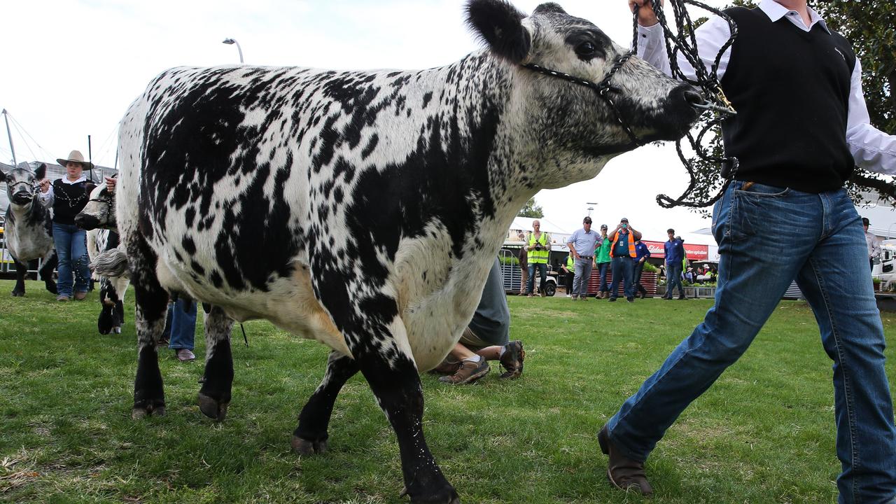 ‘Won’t sell you out’: Promise to farmers