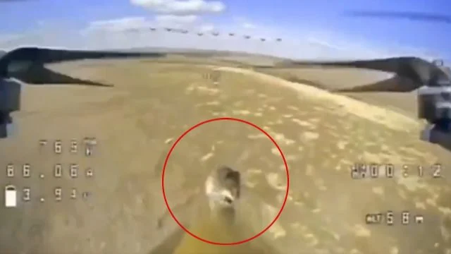 Ukraine war: a mouse boarded an FPV drone and flew to a bunker